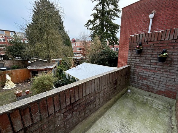 WhatsApp Image 2026-02-03 at 14.24.32 (1).jpeg